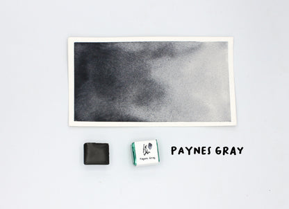 PAYNES GRAY